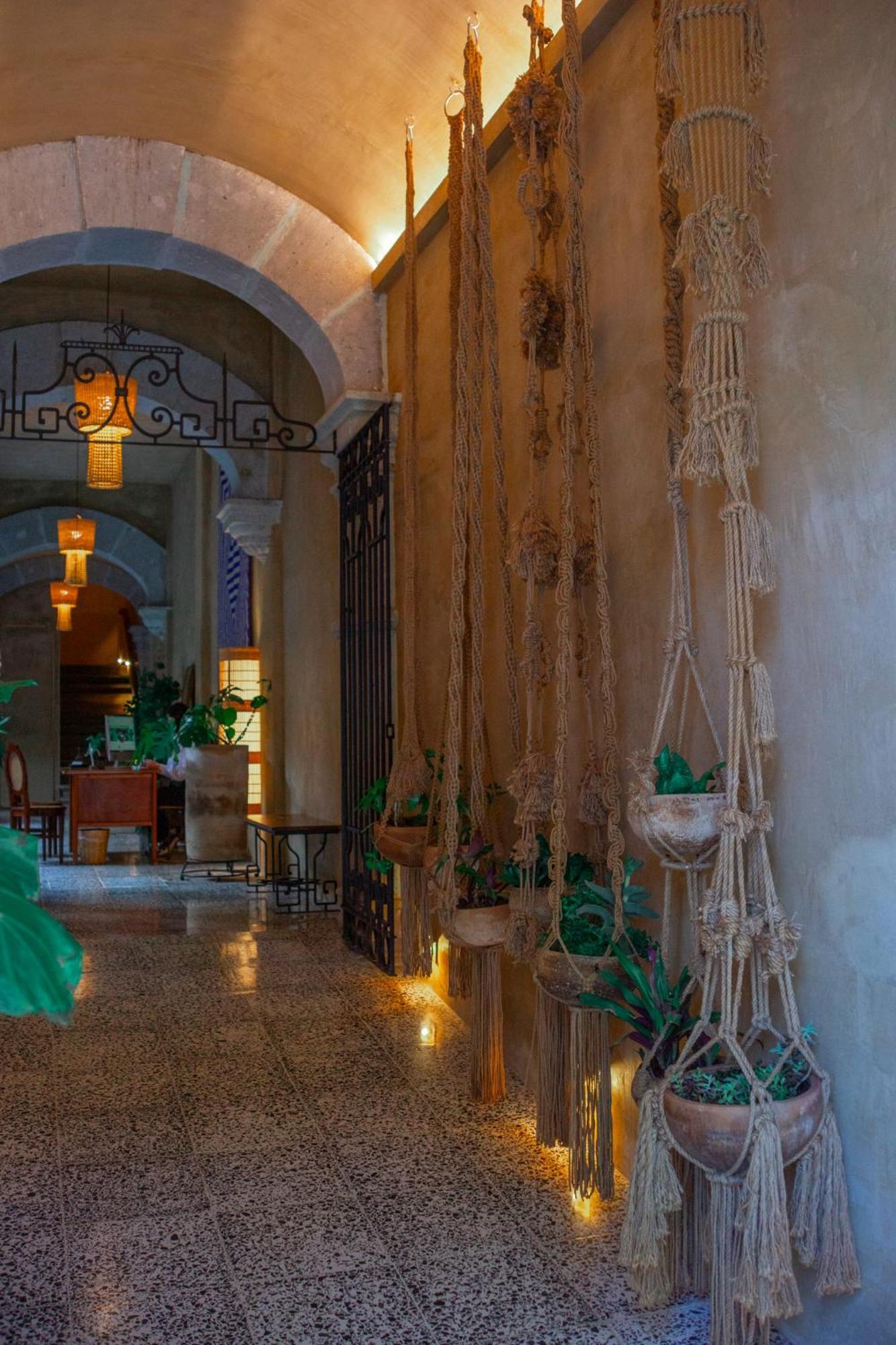 Casa Antonieta Hotel Oaxaca Eksteriør billede
