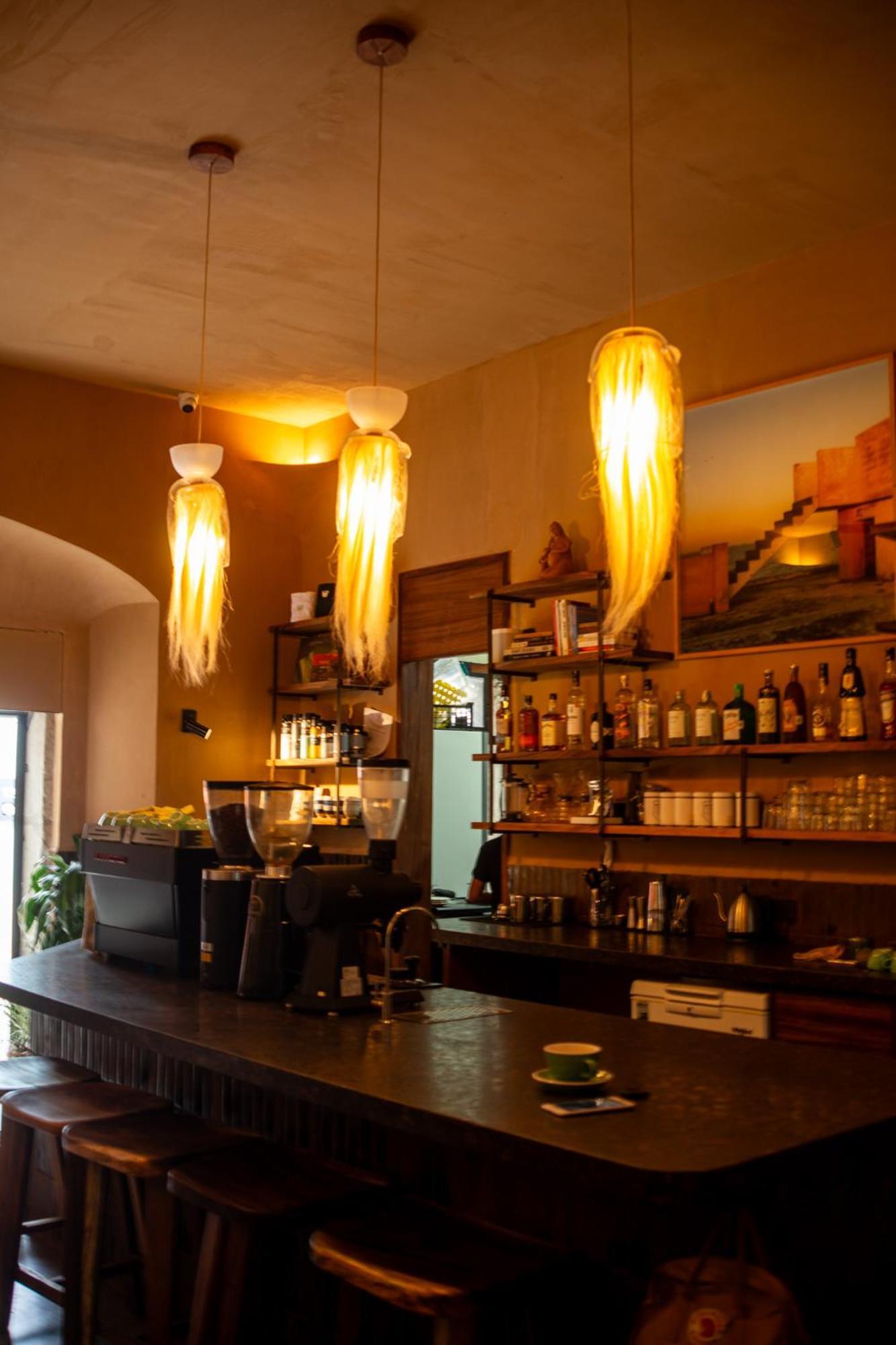 Casa Antonieta Hotel Oaxaca Eksteriør billede